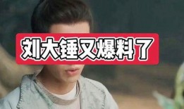 刘大锤最新爆料檀键次,檀键次背后的惊人真相