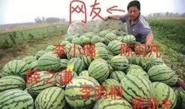 最新吃瓜爆料,神秘事件背后真相揭秘